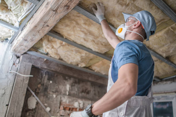 Best Energy Efficiency Solutions in Iowa Park, TX