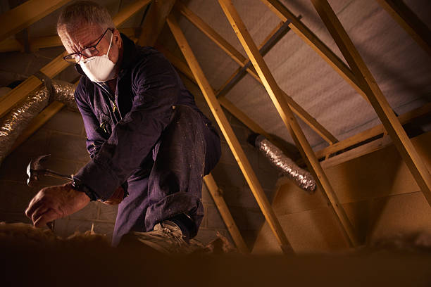 Best Specialty Insulation in Iowa Park, TX