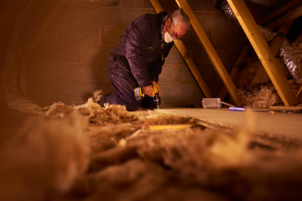 Best Commercial Insulation in Iowa Park, TX